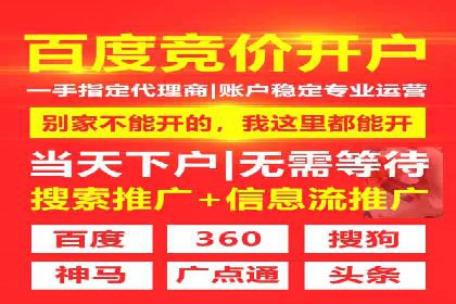 电影宣传中SEM优化师的角色与作用——一则电影营销成功案例