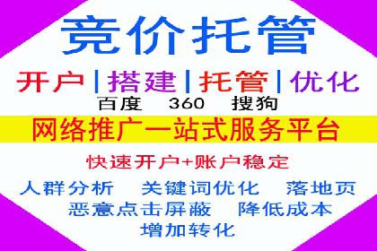 知名SEM运营公司实战案例解析